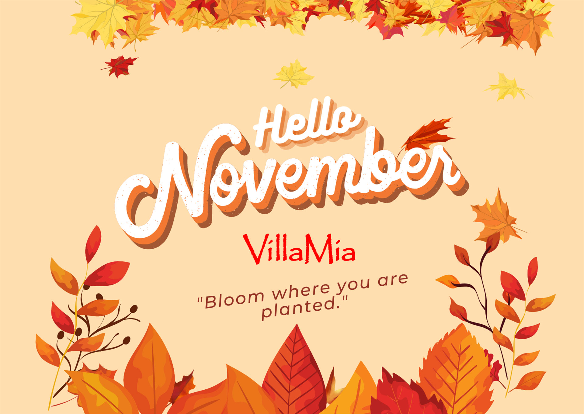 Hello November