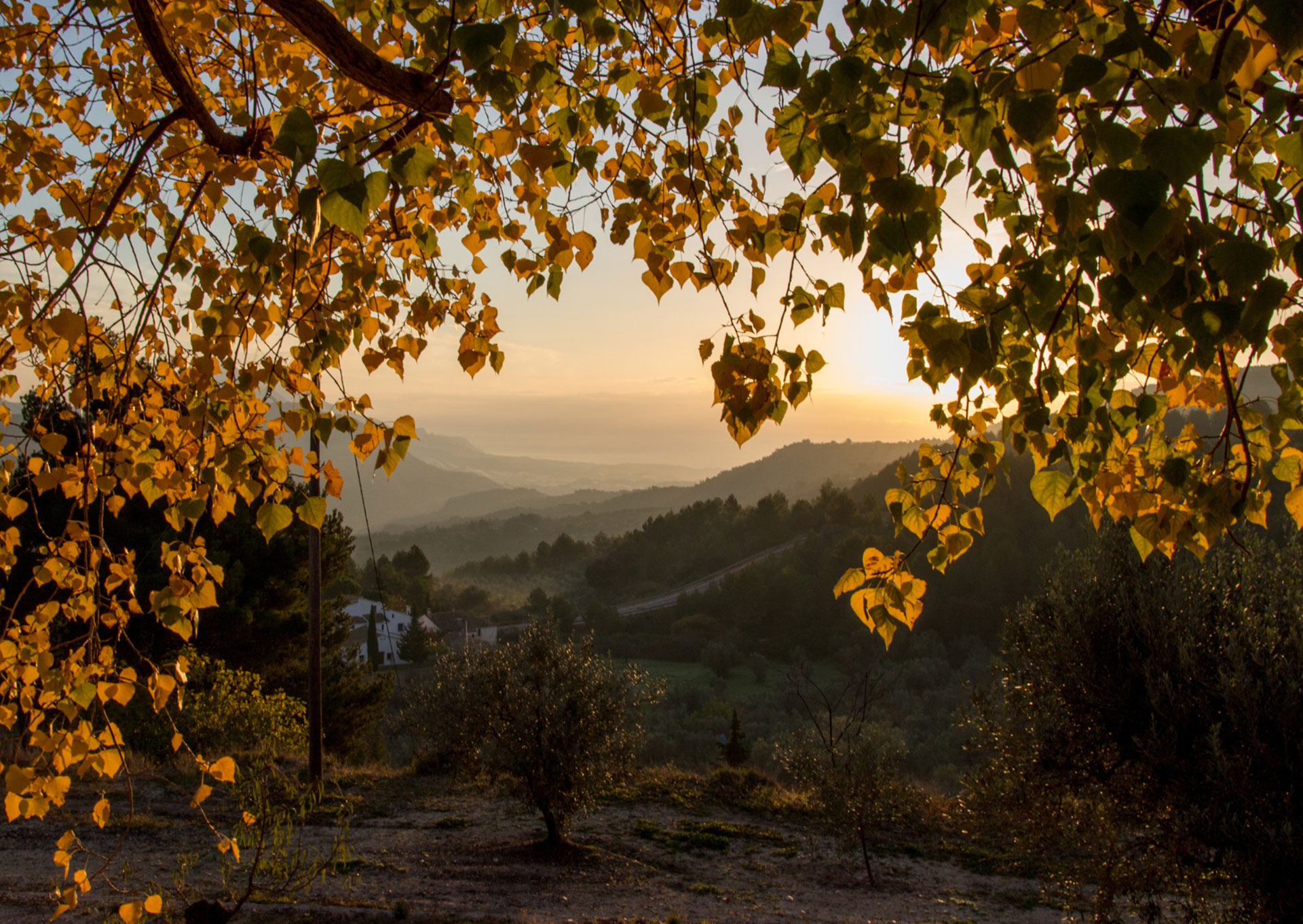 November on the Costa Blanca in Spain
