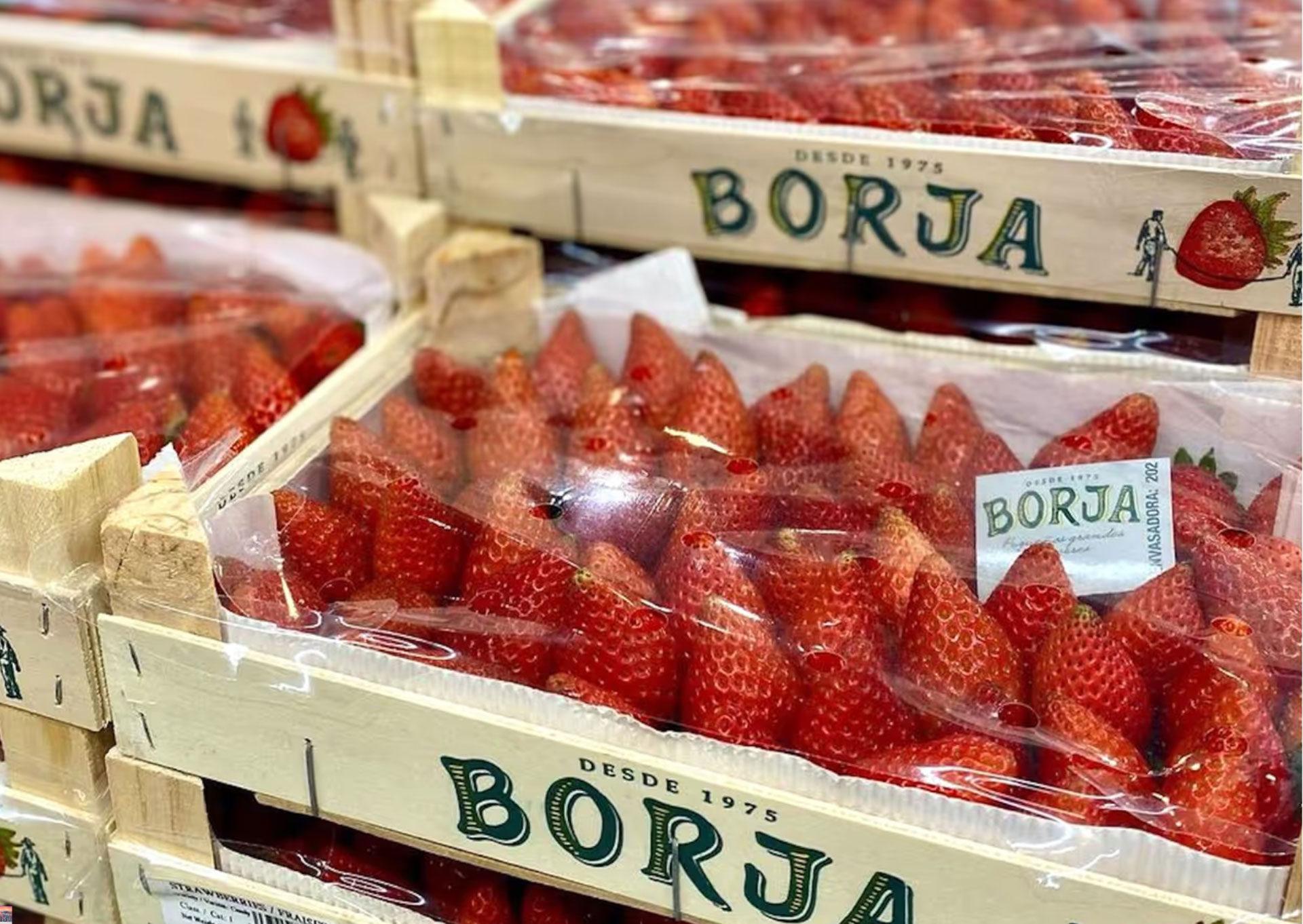 Spanish strawberries