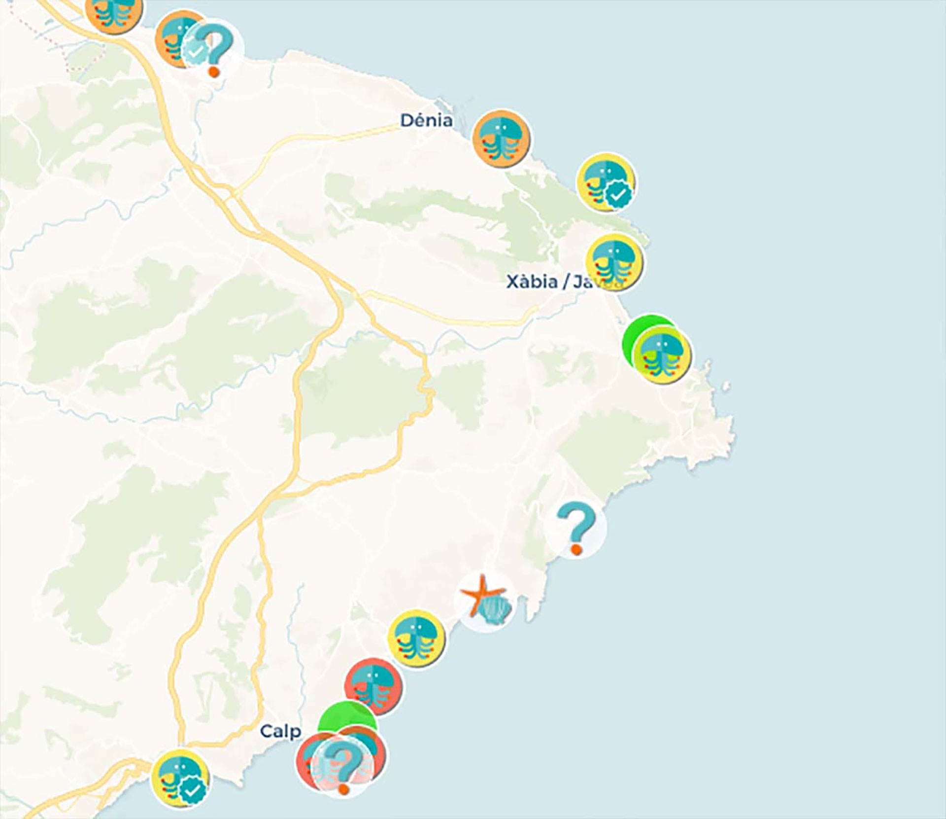 Costa Blanca jellyfish