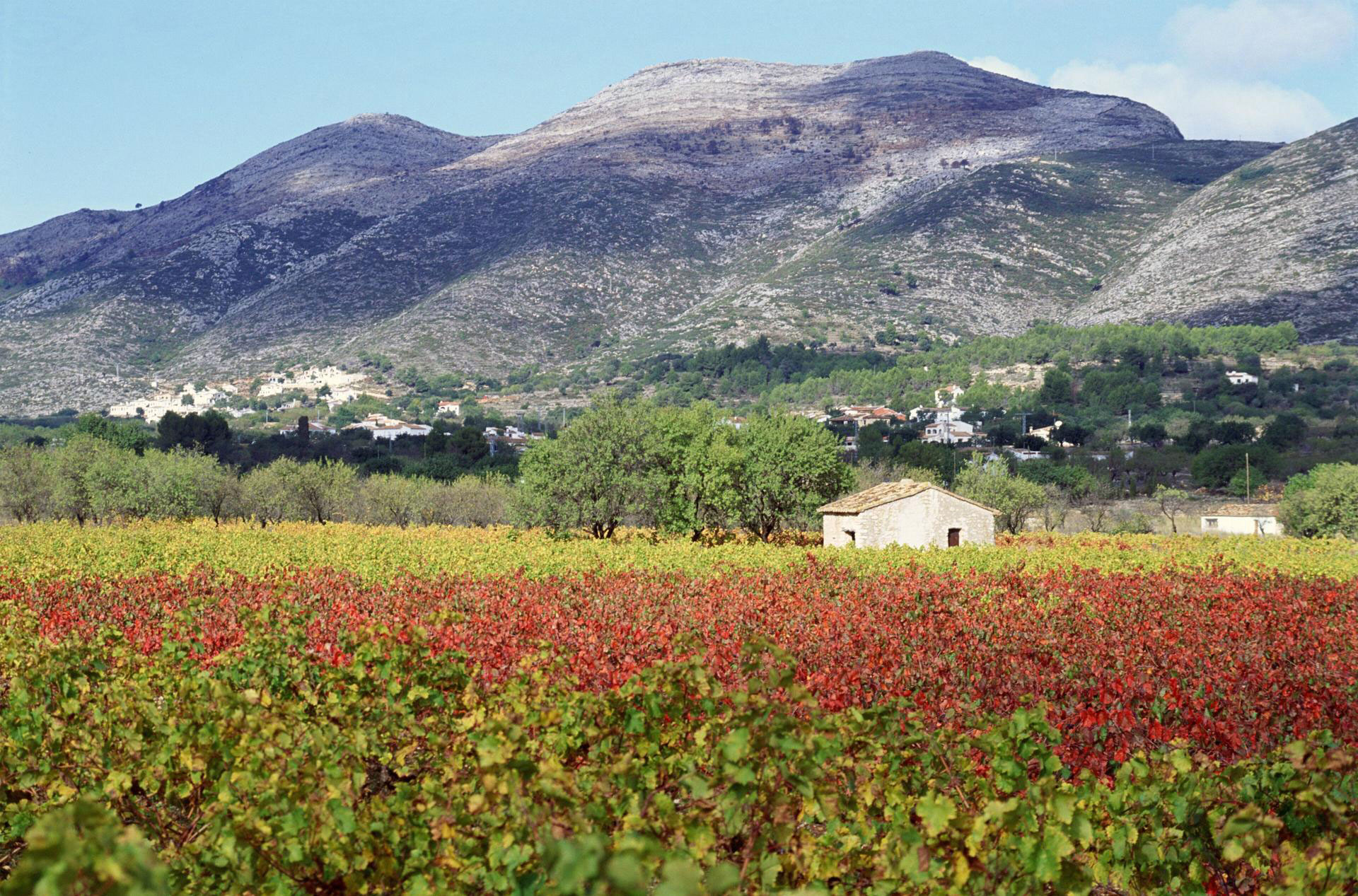 September on the Costa Blanca