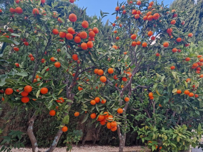 Villa in Benitachell for sale VM 2903d