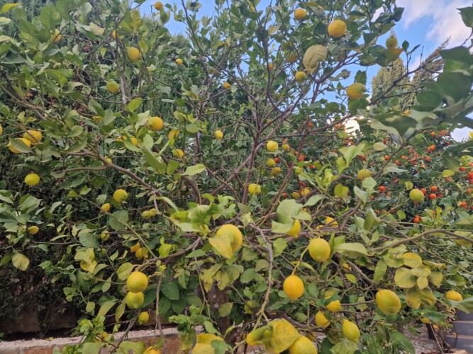 Villa in Benitachell for sale VM 2903d