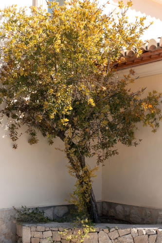 Villa in Jávea for sale VM 2951d