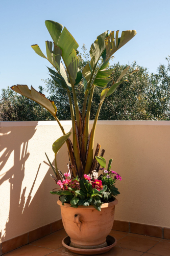 Villa in Jávea for sale VM 2951d