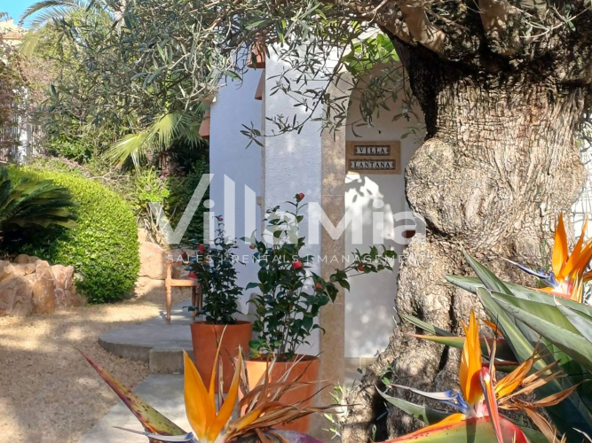 Villa in Jávea for winter let VMW 3260
