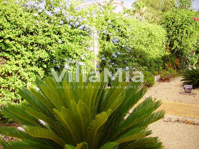 Villa in Jávea for winter let VMW 2913d